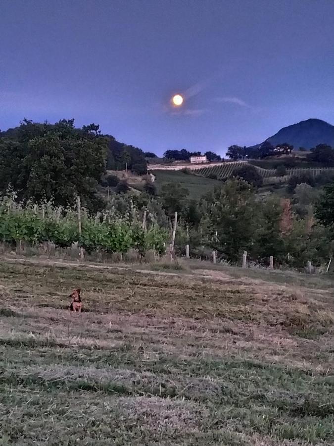 Tenuta Del Savonisco * Picinisco